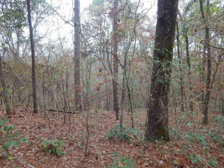 Property Photo:  Tbd Ashwood  TX 75645 