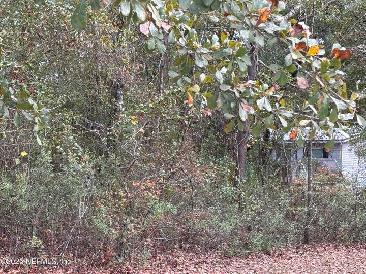 Property Photo: 4667 Peppergrass Street FL 32068