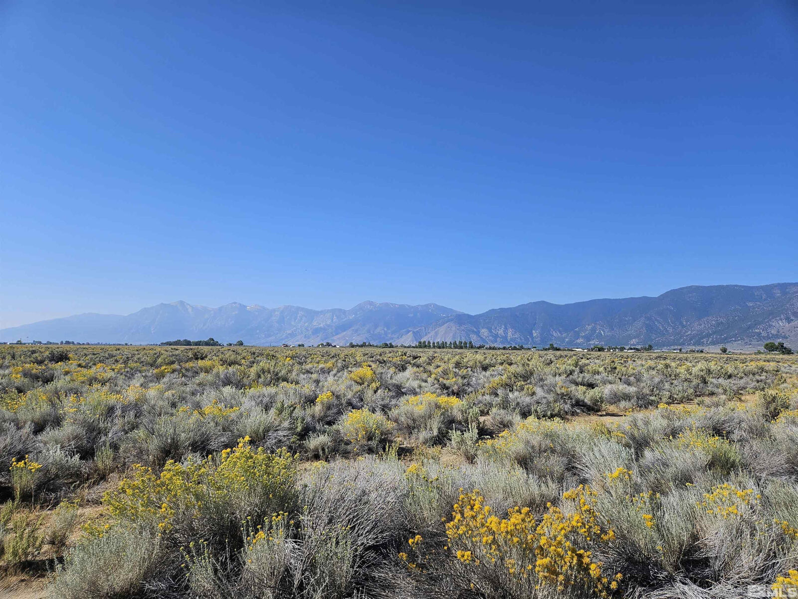 Property Photo: 1205 Stephanie Way NV 89423