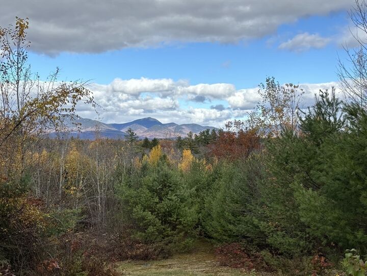 Property Photo: 454 Little Pond Road NH 03227
