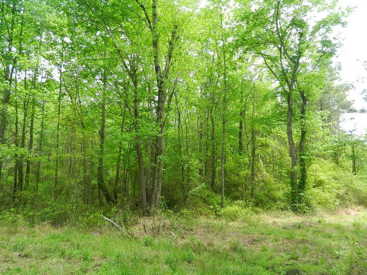 Property Photo: 00 Lewis Road NC 27597