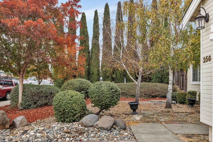 Property Photo:  256 Honeydew Drive  CA 94591 