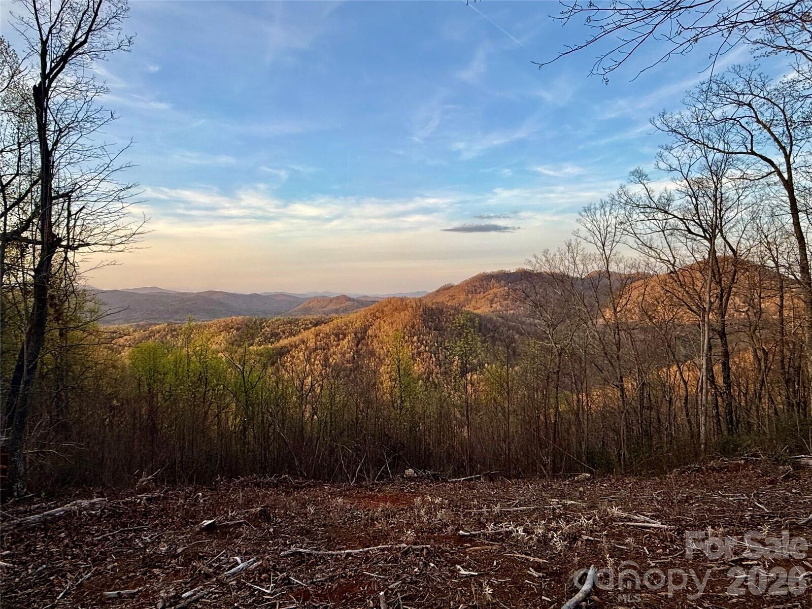 Property Photo:  0 Shoal Ridge Lane 2  NC 28167 