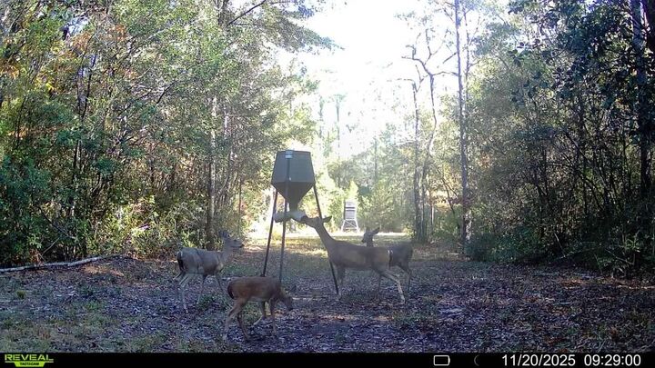 Property Photo: Parcel 1 Sunburst Drive FL 32539