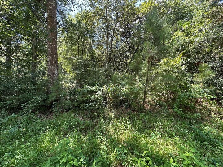 Property Photo:  91 Road 2726  TX 77327 