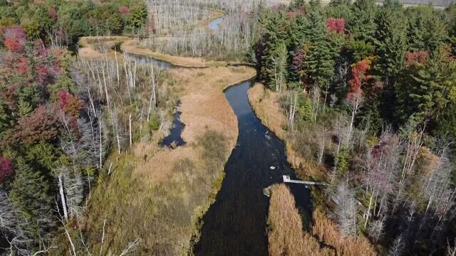 Property Photo:  5683 Tyndal Road  MI 49402 