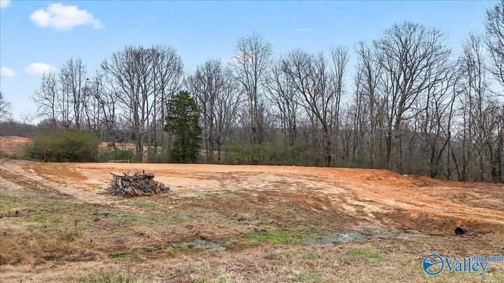 10356 County Road 17  Woodville AL 35776 photo