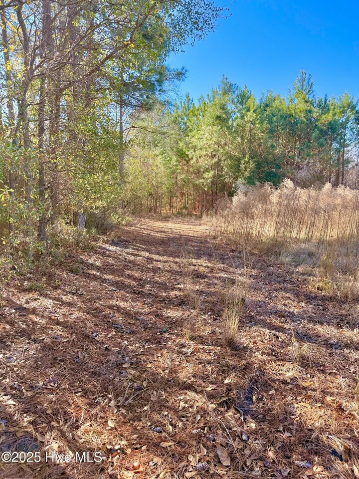 Property Photo:  12.05 Acre Near 861 Marietta Rd  NC 28340 