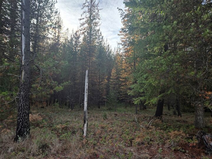 Property Photo:  Nhn Mt Hwy 200  MT 59874 