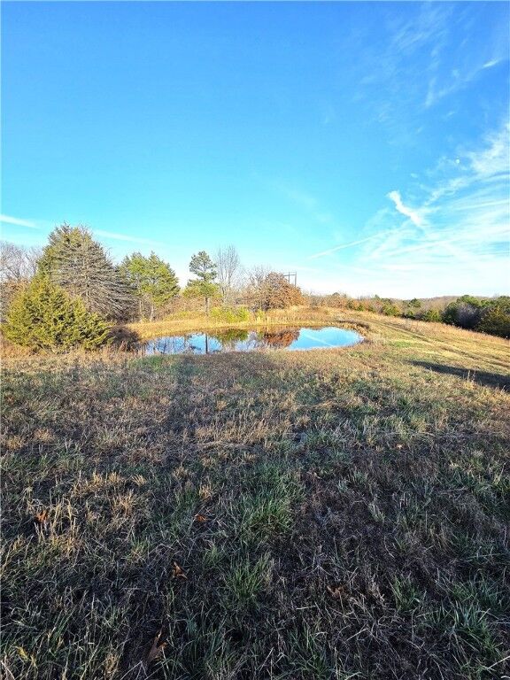 Property Photo:  Driftwood Drive  AR 72675 