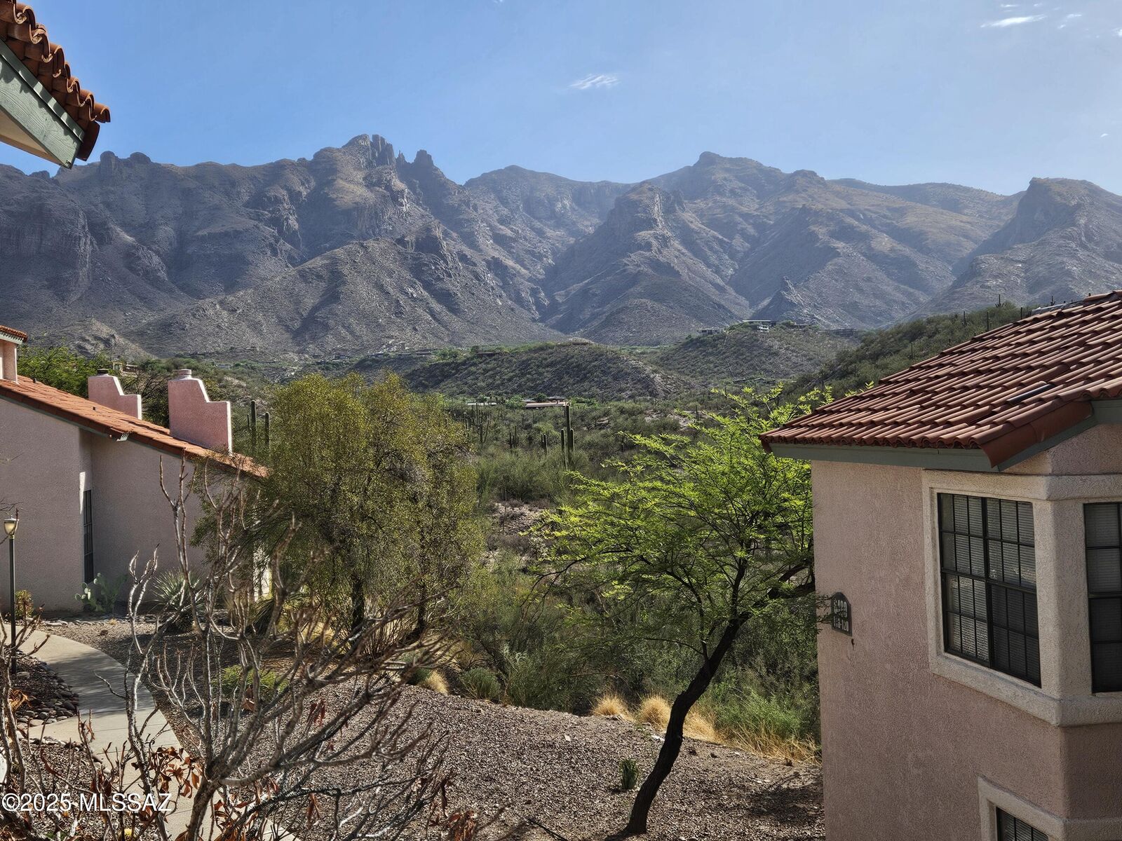 Property Photo:  6490 N Tierra De Las Catalinas 94  AZ 85718 