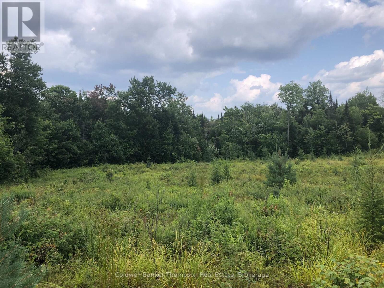 Property Photo:  522 Albert Street North  ON P0A 1Z0 