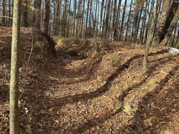 Property Photo: 440 Paschal SC 29045