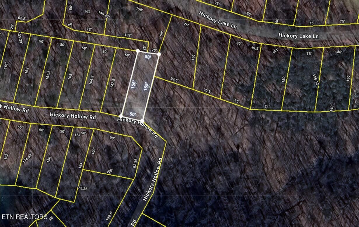 Property Photo:  0.18 Ac Hickory Hollow Rd  TN 38572 