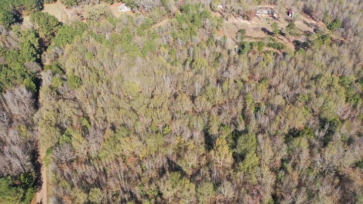 Property Photo:  0000 County Road 2617  TX 75563 