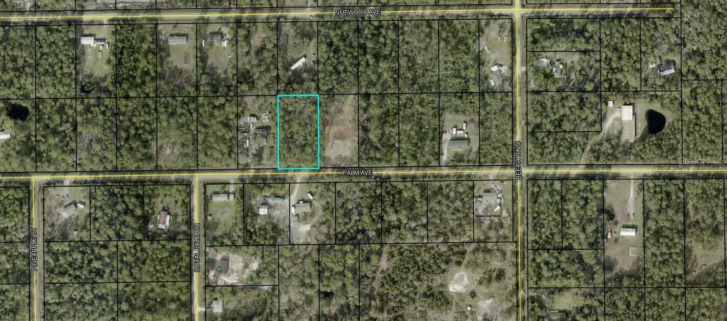 Property Photo:  5638 Palm Avenue  FL 32110 