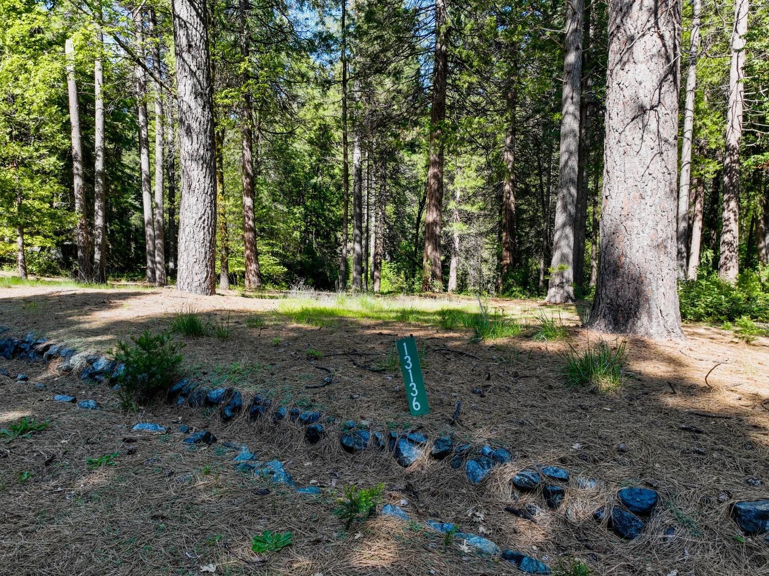 Property Photo: 13136 Woodstock Drive CA 95959