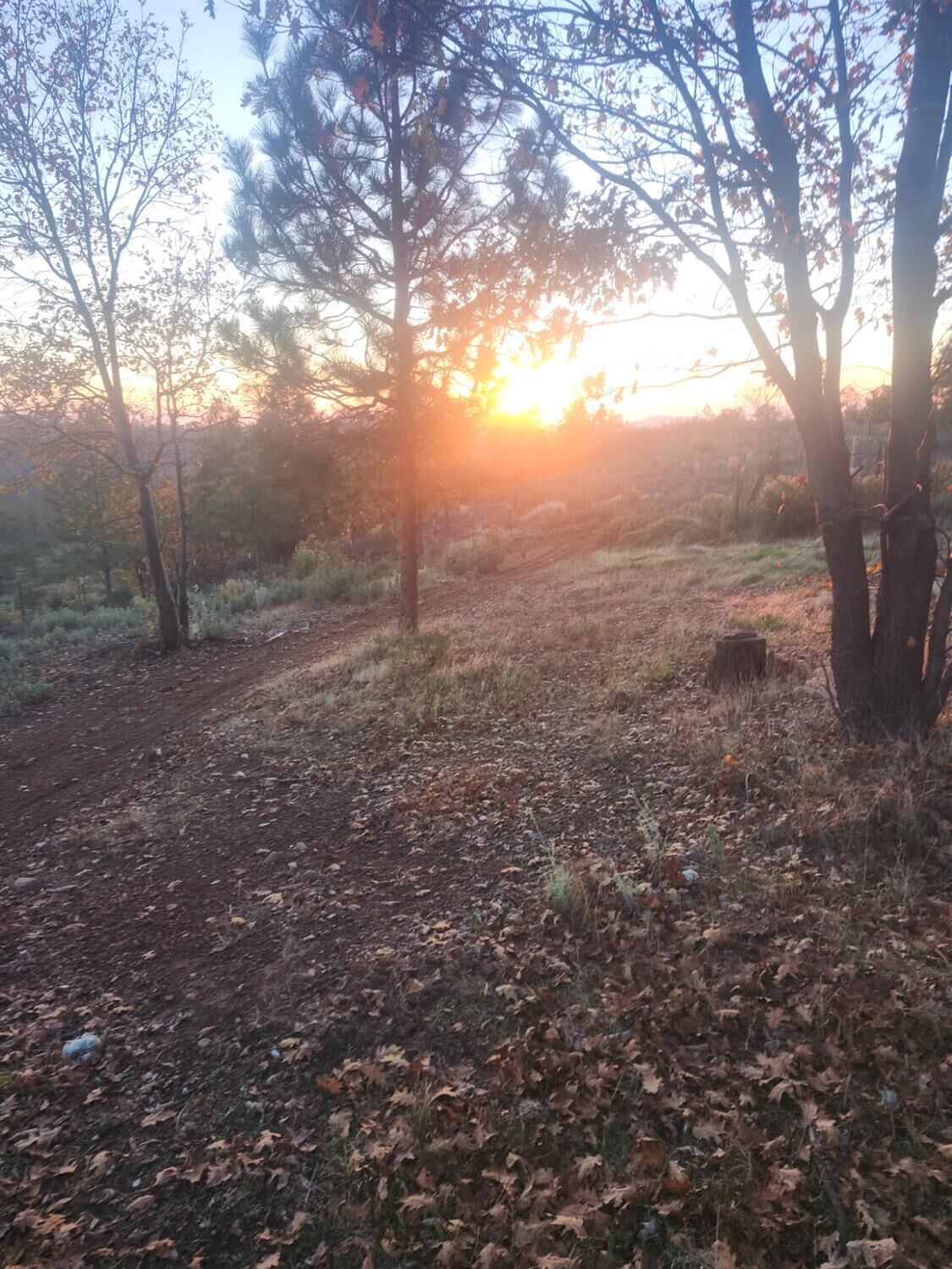 Property Photo: 19855 Incense Cedar Trail CA 95321