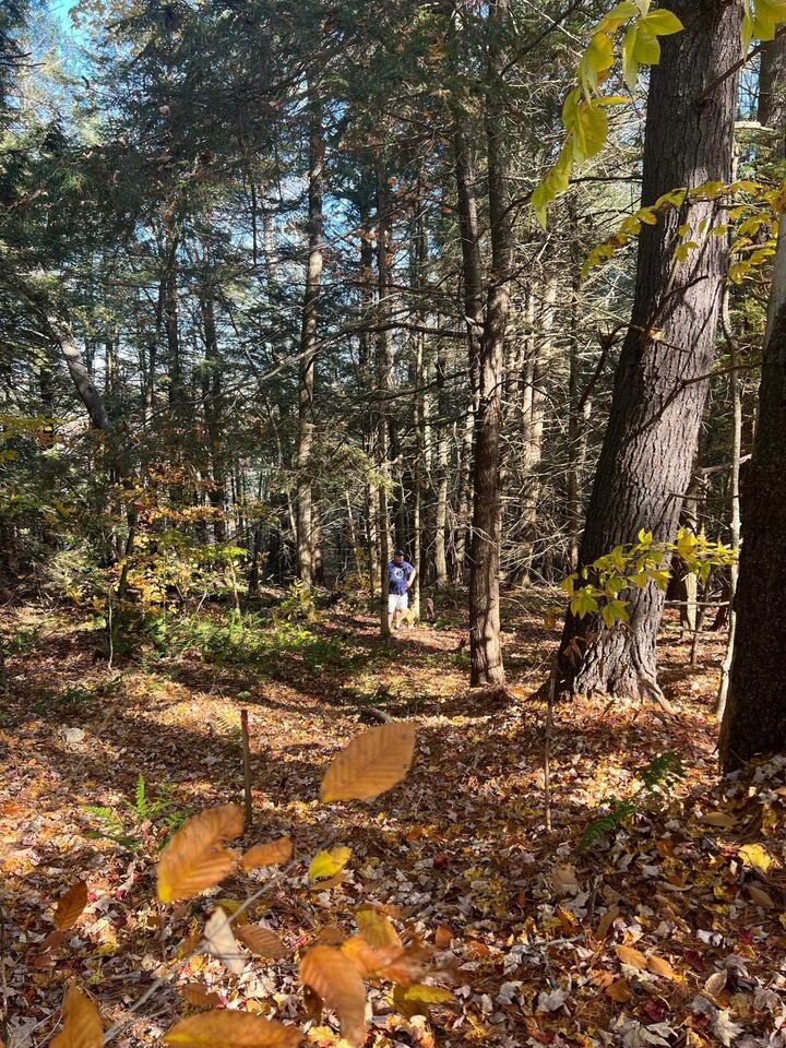 Property Photo: Lot 2 Laurel Lane NH 03287