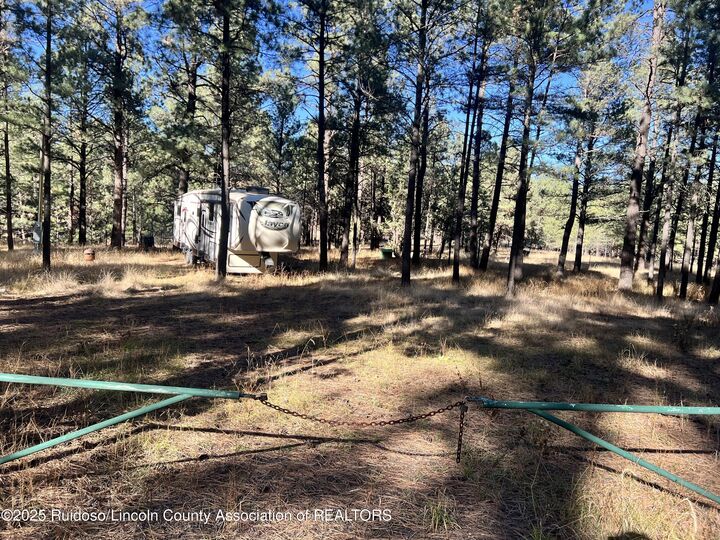 Property Photo:  121 Stag Lp  NM 88312 