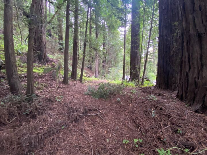 Property Photo:  925 Cazadero Highway  CA 95421 