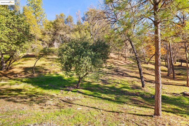 Property Photo:  20465 Pine Mountain Dr  CA 95321 