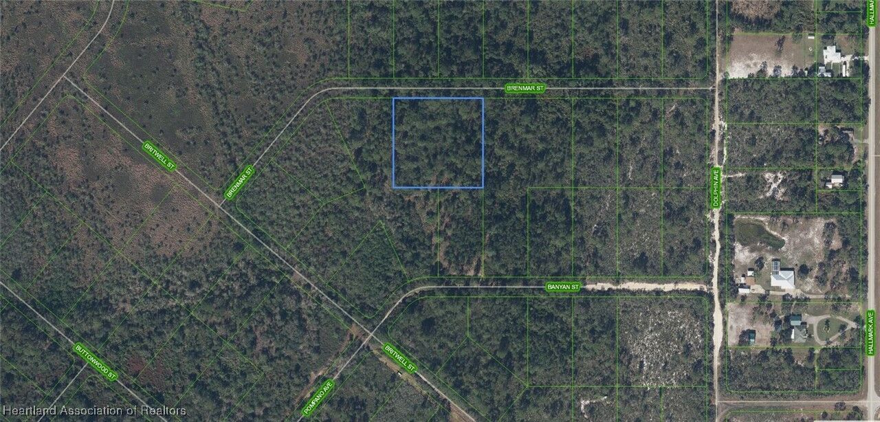 Property Photo:  819 Avocado Drive  FL 33852 