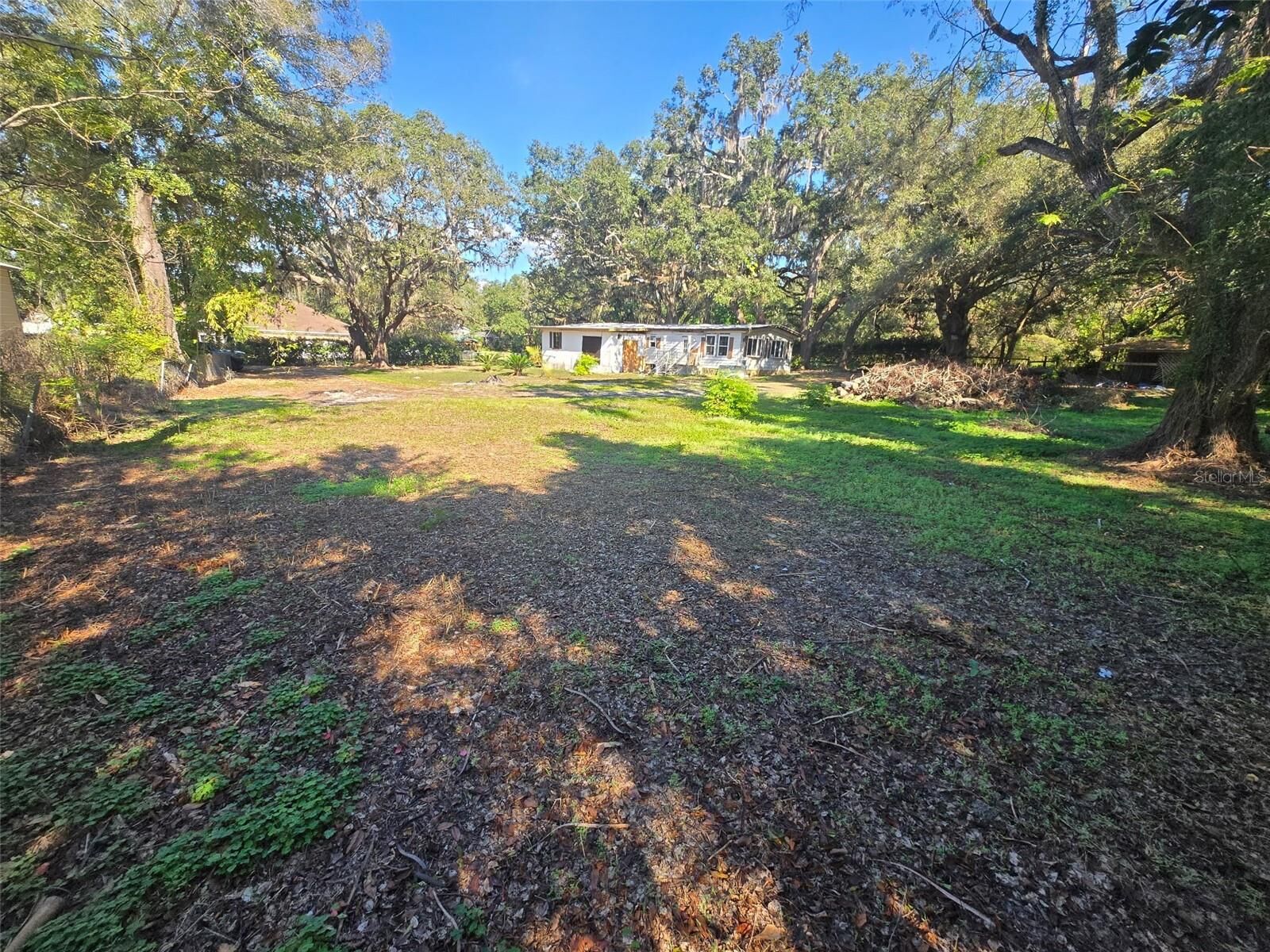 Property Photo:  35444 Darlene Drive  FL 33541 