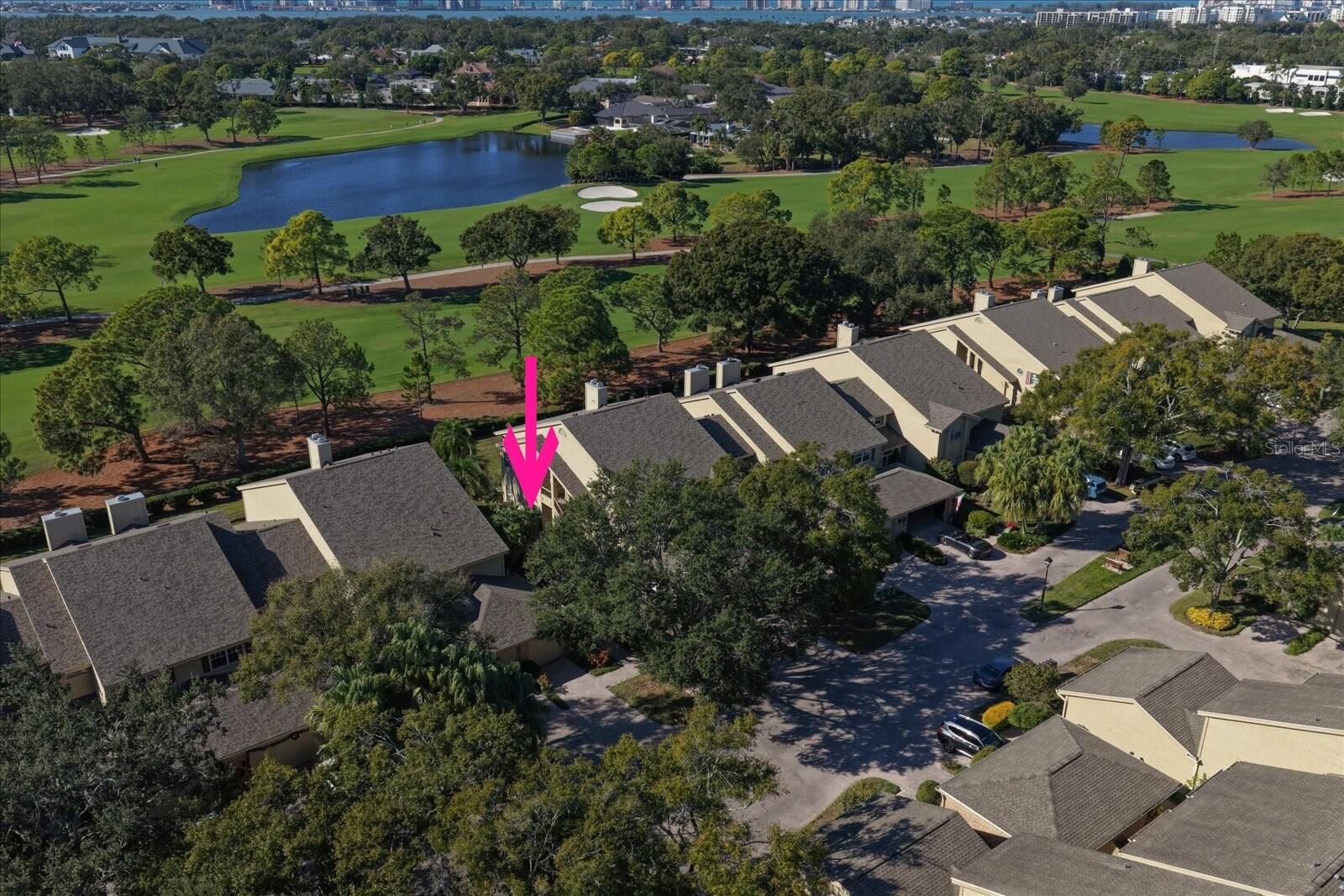 Property Photo: 49 Pelican Place FL 33756