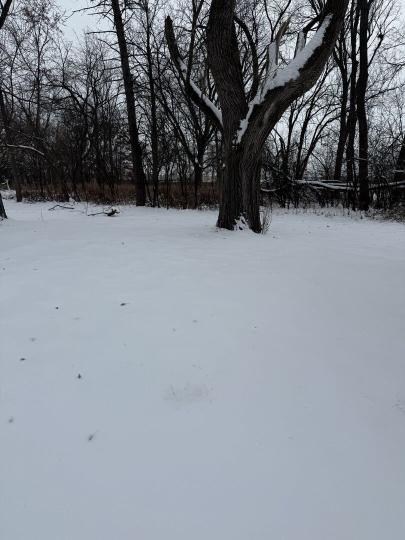 Property Photo:  19611 Crawford Avenue  IL 60422 