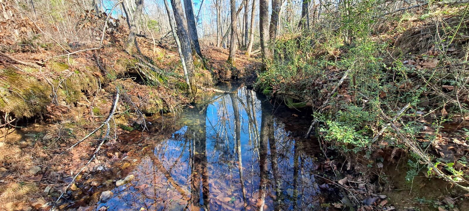 Property Photo:  0 NW Piney Road  TN 37055 