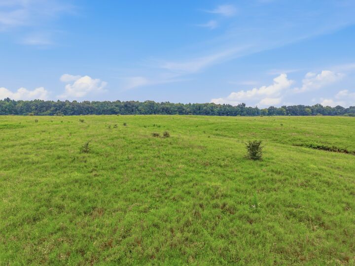 Property Photo: 46 Caps Rd TN 37079