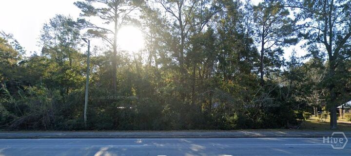 Property Photo:  27 Zoe Lane  GA 31333 