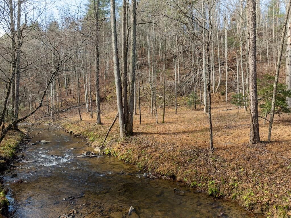 Property Photo: 780 Banks Road GA 30540