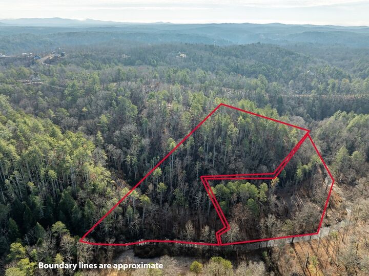 Property Photo: 894 Hap Holt Road GA 30540