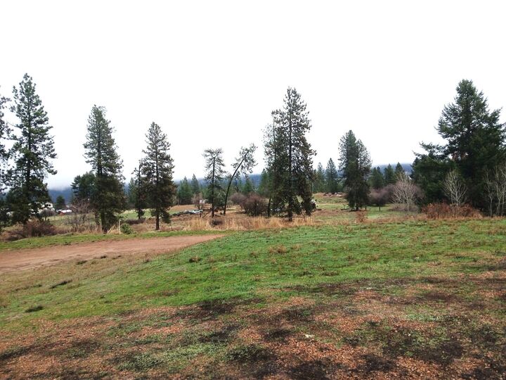 Property Photo: 30 Grandlouis Rd WA 99138