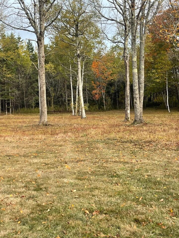 Property Photo:  3335 358 Highway  NS B0P 1H0 
