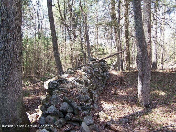 Property Photo:  Tbd Buck  NY 12484 