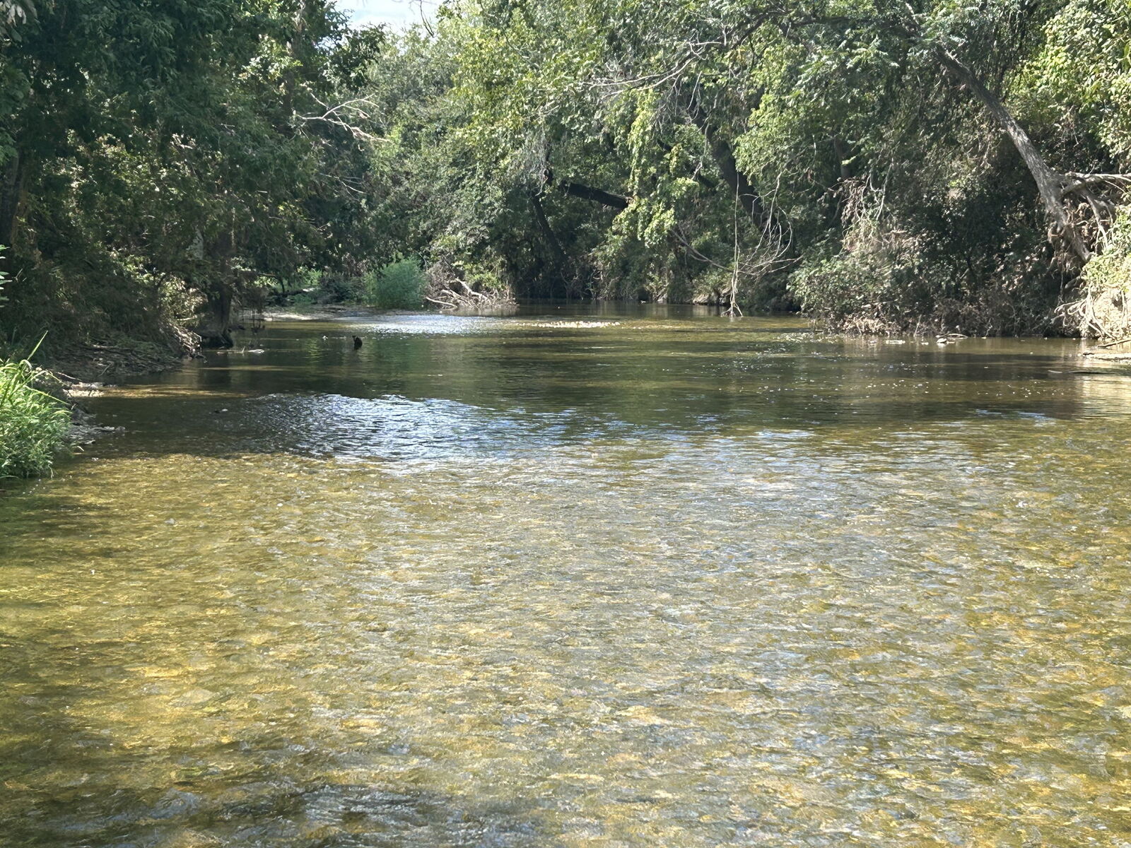 Property Photo:  11910 Fm 1660 Fm 1660  TX 78634 