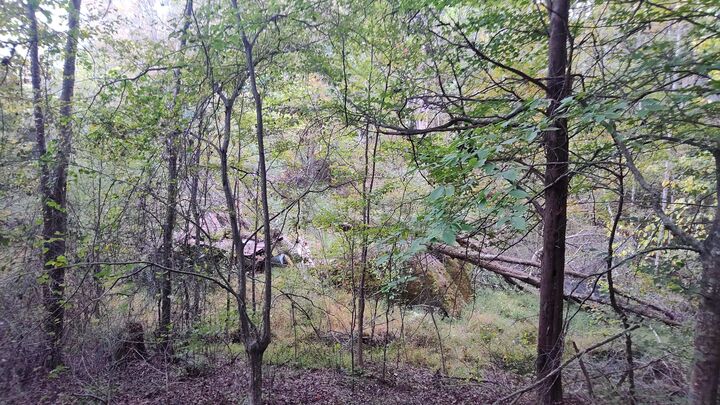 Property Photo:  0 Summertown (8.56 Acres) Road  TN 37347 