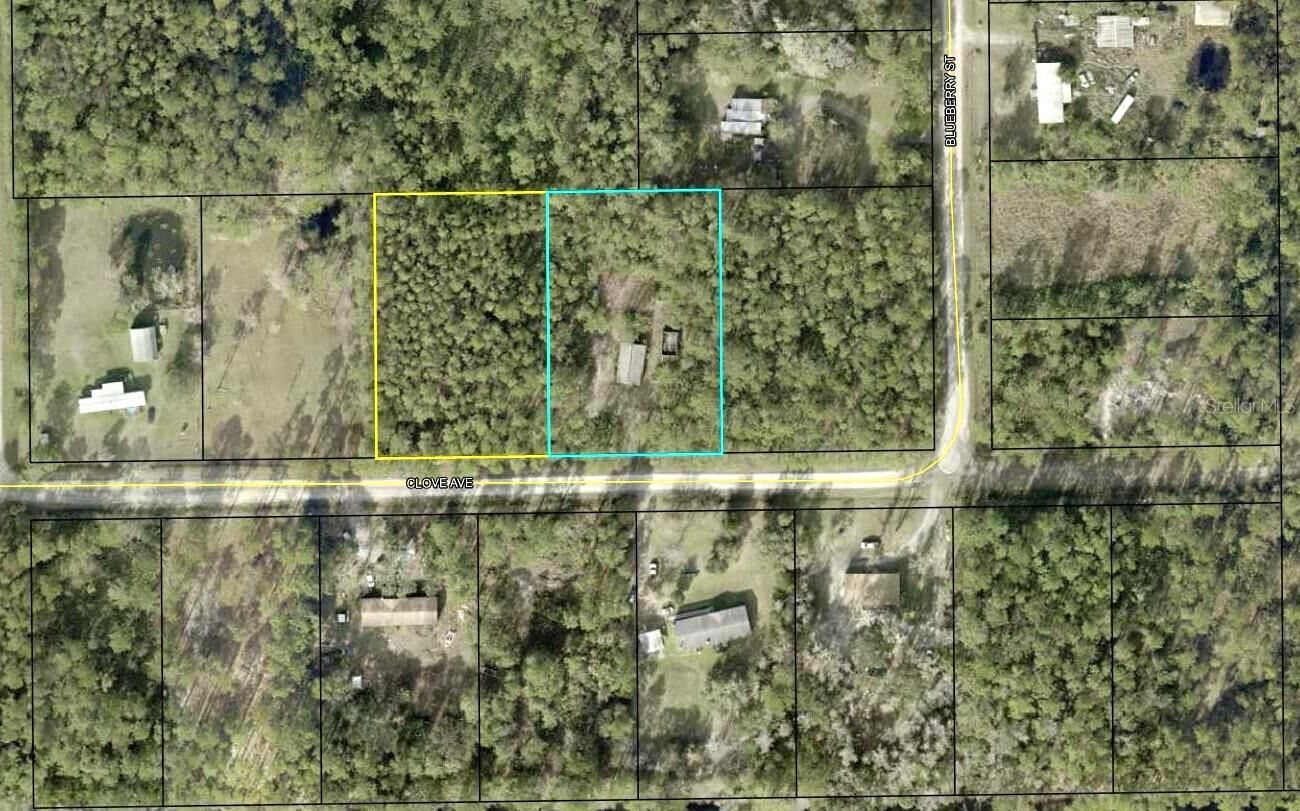 Property Photo:  4374 Clove Avenue  FL 32110 
