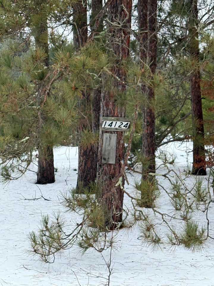 Property Photo:  14124 Healy Lake Road  MI 49614 