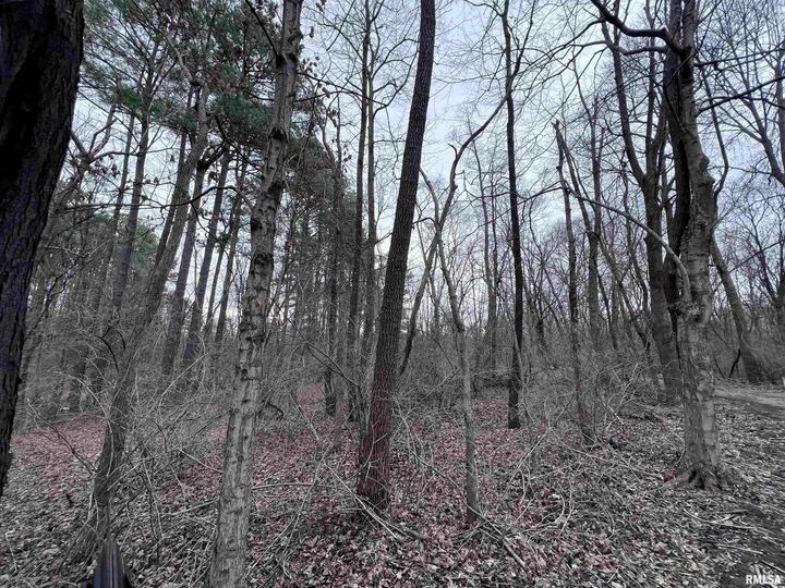 Property Photo:  449 Pine Lane  IL 62966 