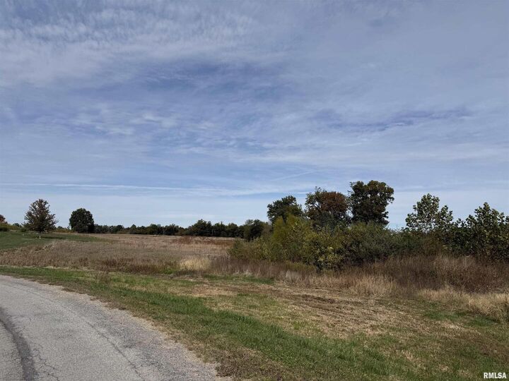 Property Photo:  Tbd S Market Street  IL 62959 