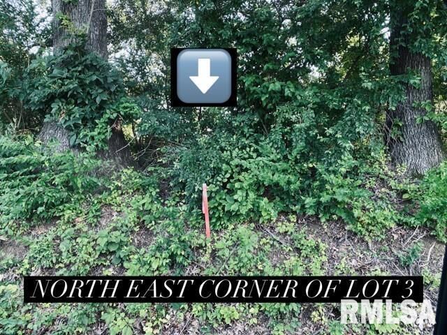 Property Photo: Lot 4 Falcon Road IL 62901