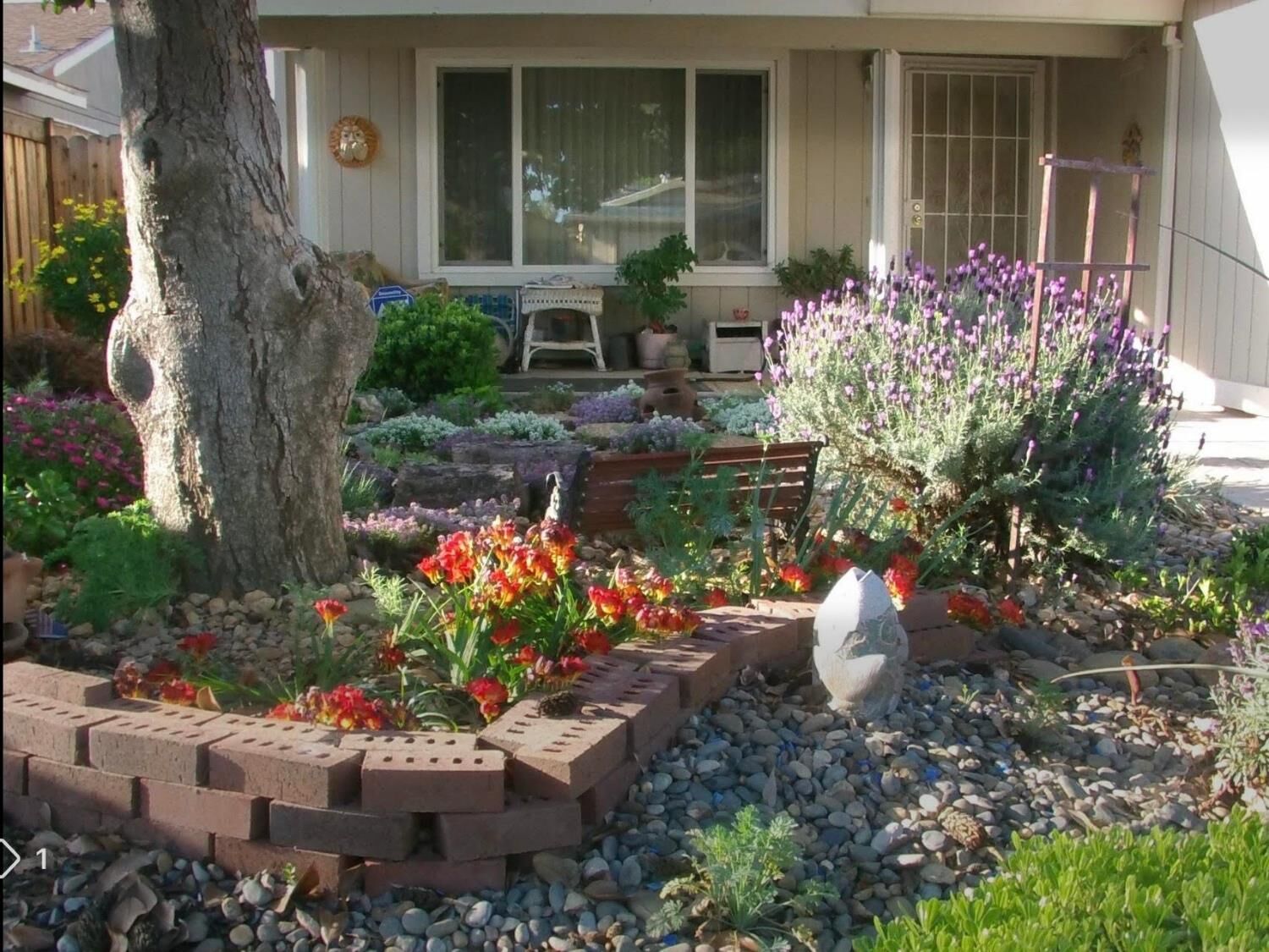 Property Photo:  10246 Pistachio Way  CA 95827 
