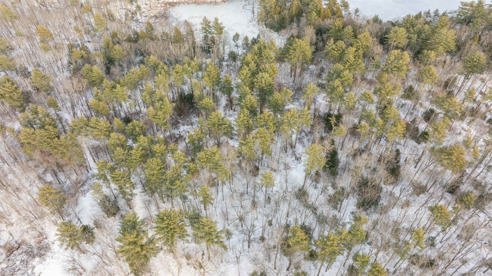 Property Photo:  Lot 56-4 Lovers Lane  NH 03032 