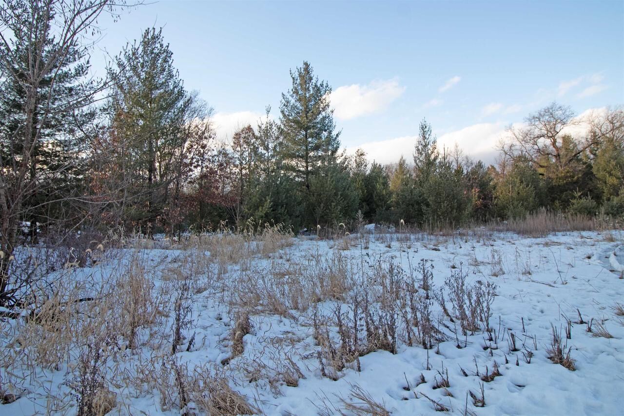 Property Photo:  Lot20 Timber Trail  WI 53588 
