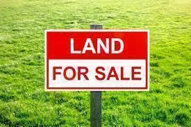 Photo de la propriété:  564 Balmoral Street  MB R2R 2R3 