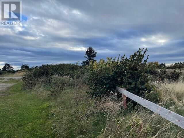 Property Photo:  Lot 2 McIsaac'S Lane  NL A0N 1T0 
